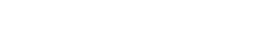 Our Vision