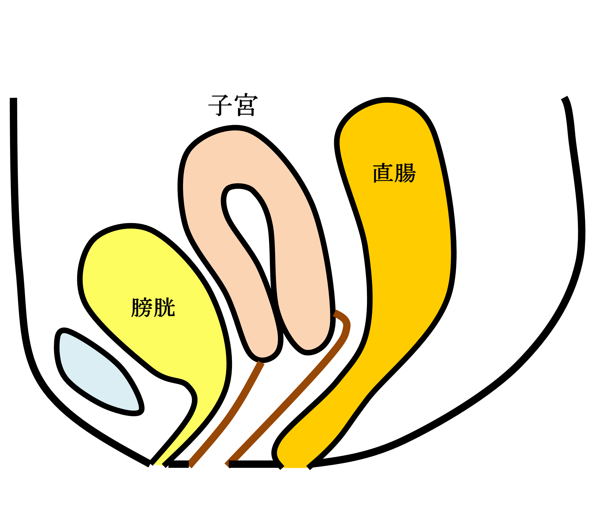 泌尿器科 診療科 診療センター 名鉄病院