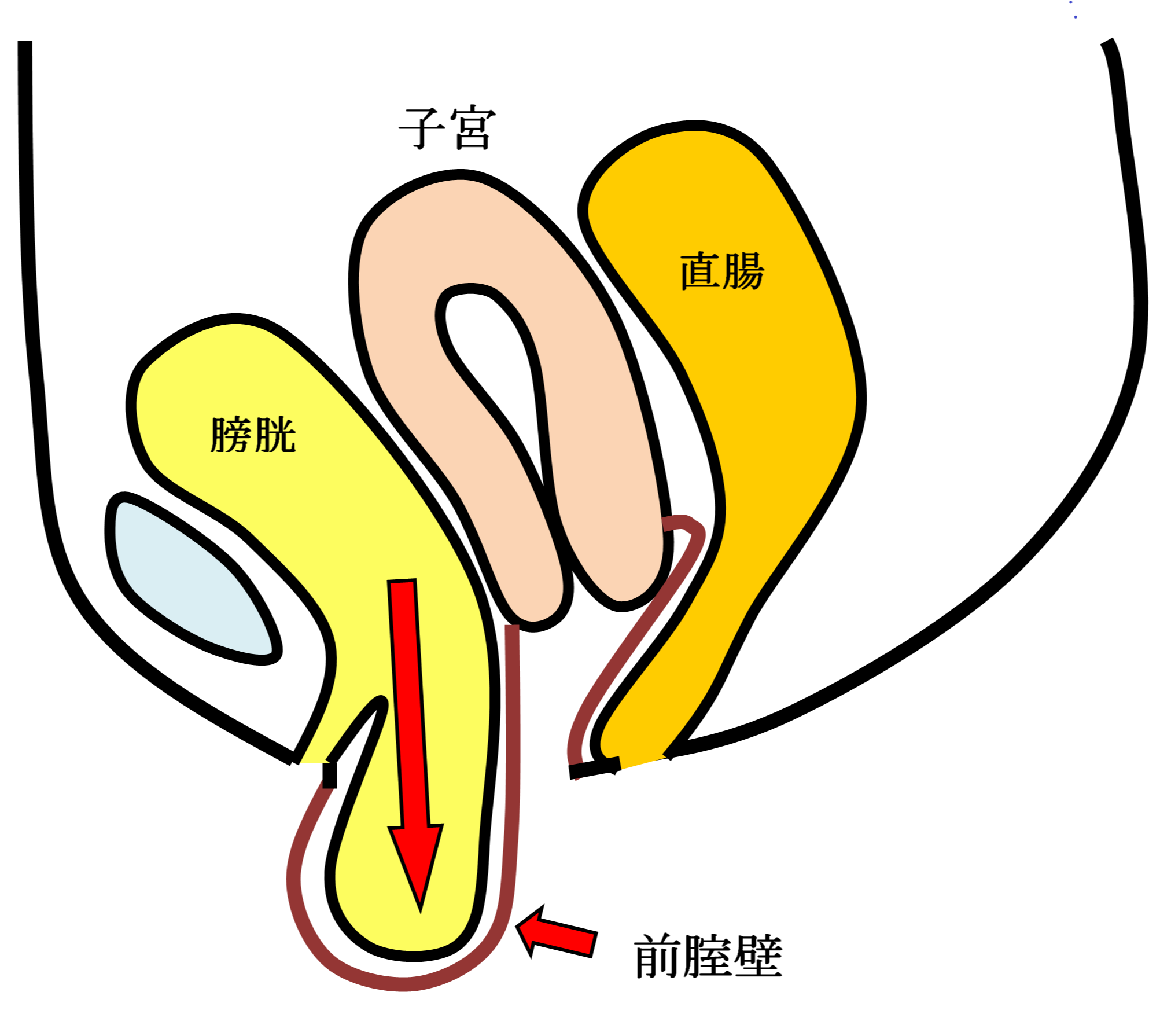 女性泌尿器科 ウロギネセンター 診療科 診療センター 名鉄病院