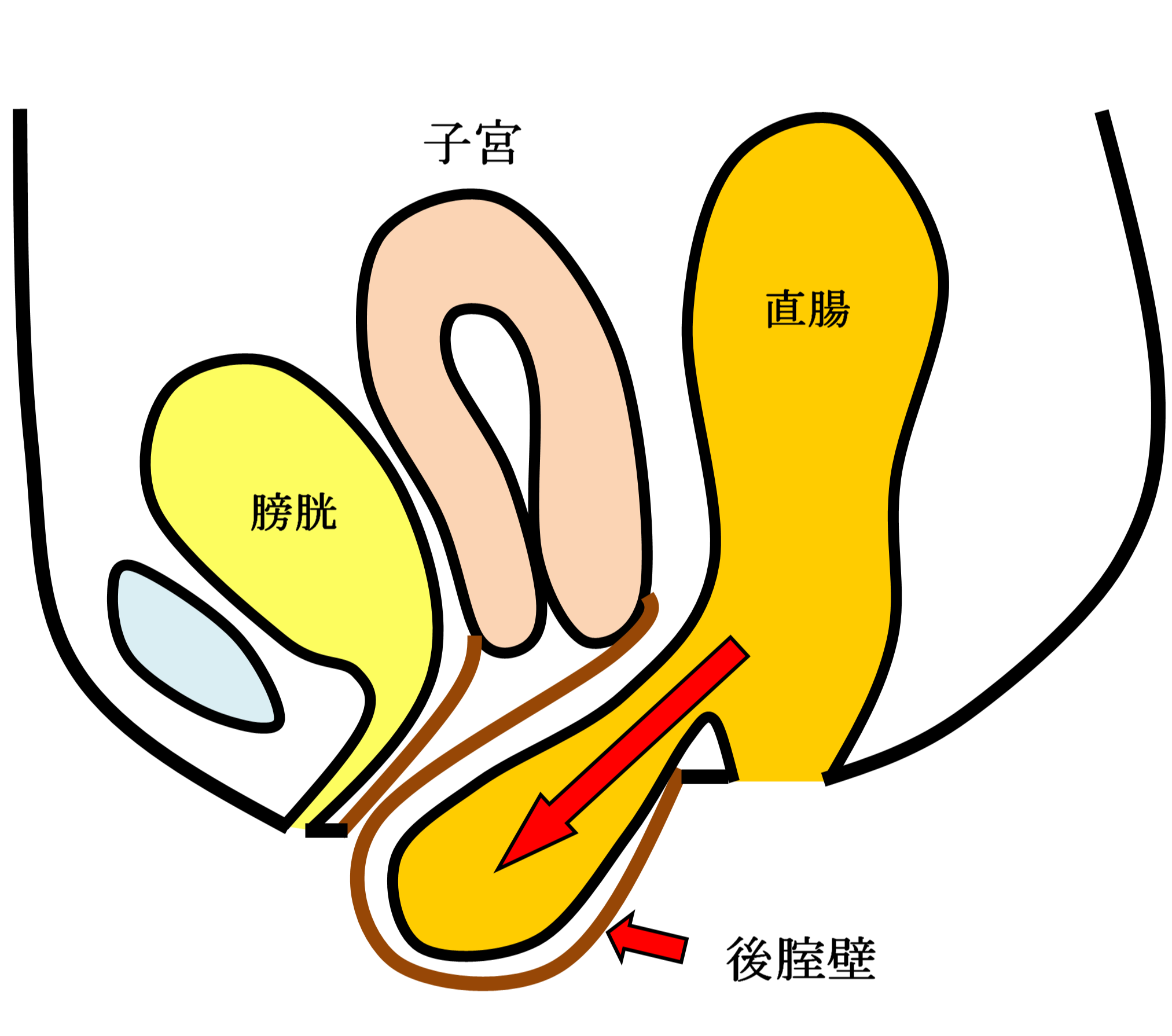 泌尿器科 診療科・診療センター 名鉄病院