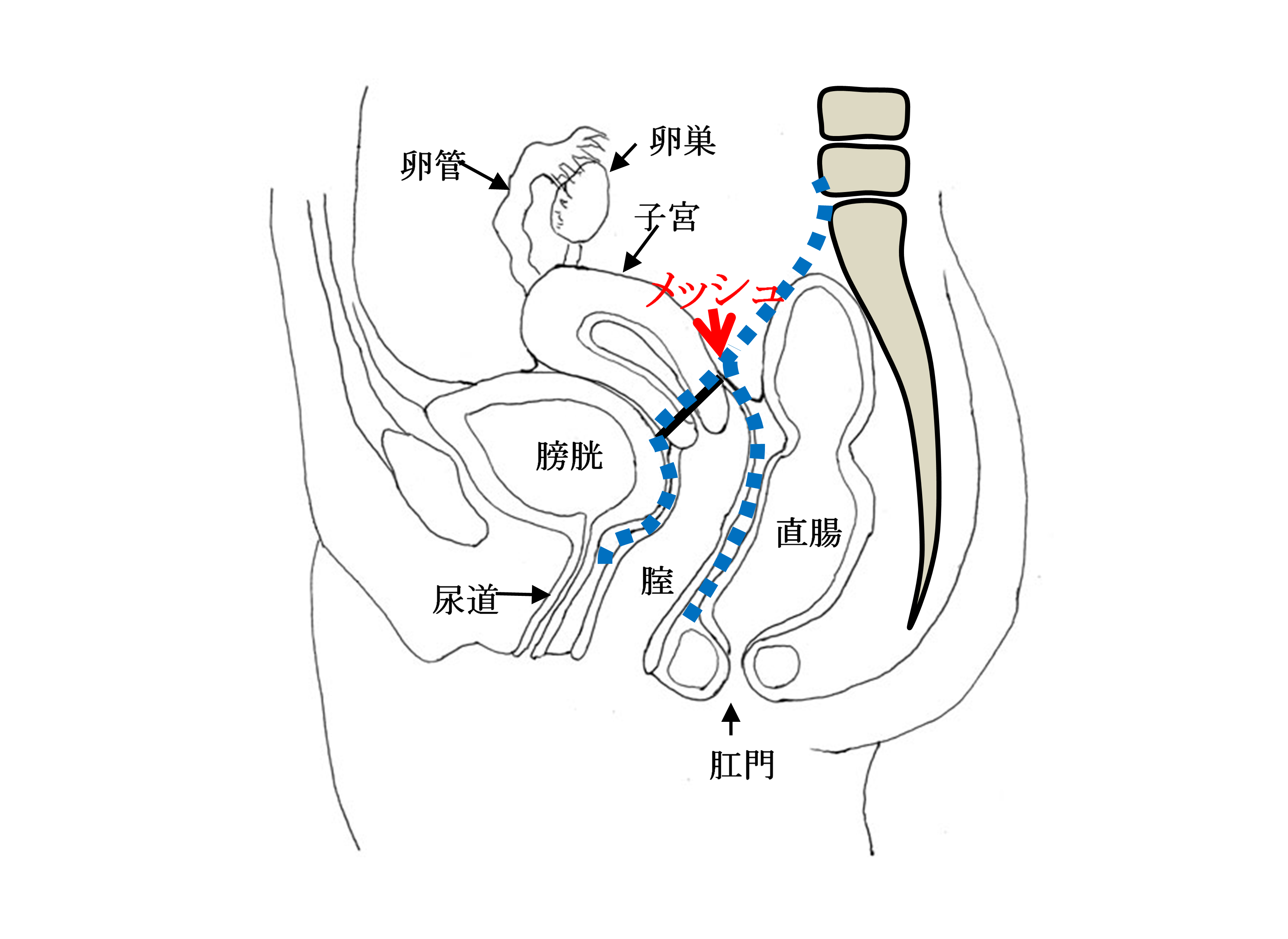 女性泌尿器科・ウロギネセンター 診療科・診療センター 名鉄病院