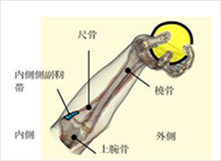 野球肘 やきゅうひじ 診療科 診療センター 名鉄病院